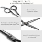 5.5 Inch Professional Titanium Hair Scissors Beautiful Shape High Sharpness