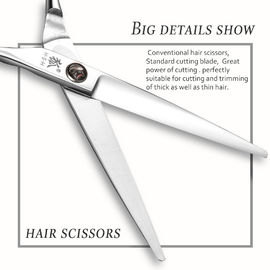 5.5 Inch Stainless Steel Hair Cutting Scissors Sharp Blade Tip UFO Screws