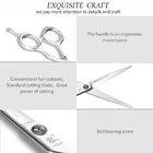 Silver Hair Thinning Japanese Steel Scissors Adjustable UFO Screws